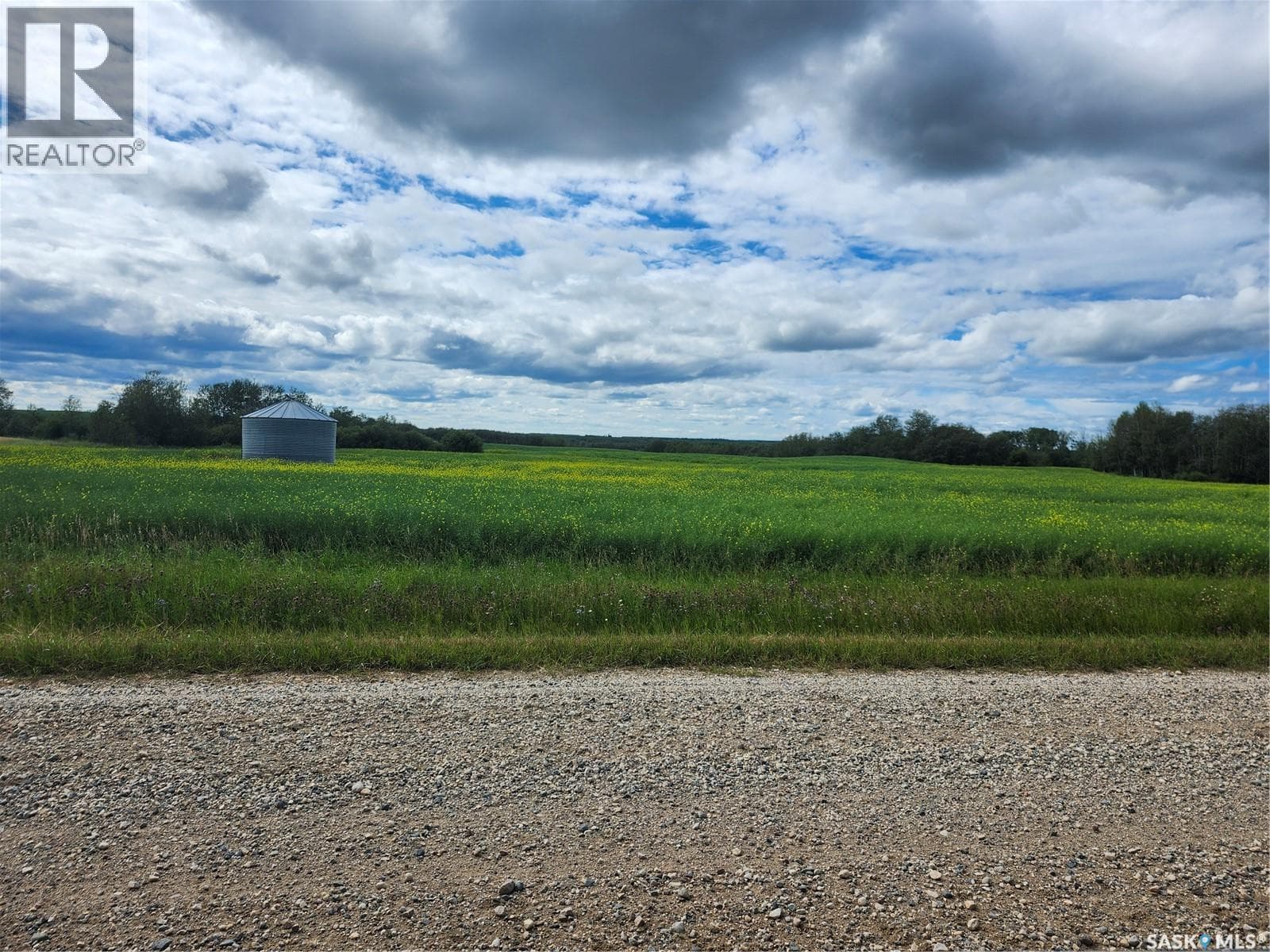 RM334 Preeceville Land — photo 4