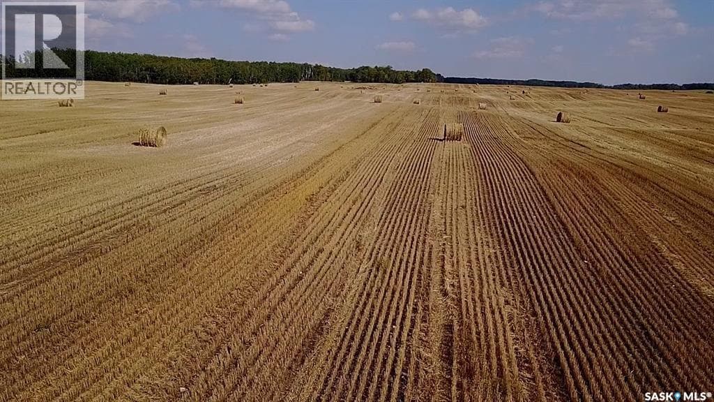 RM334 Preeceville Land — photo 5