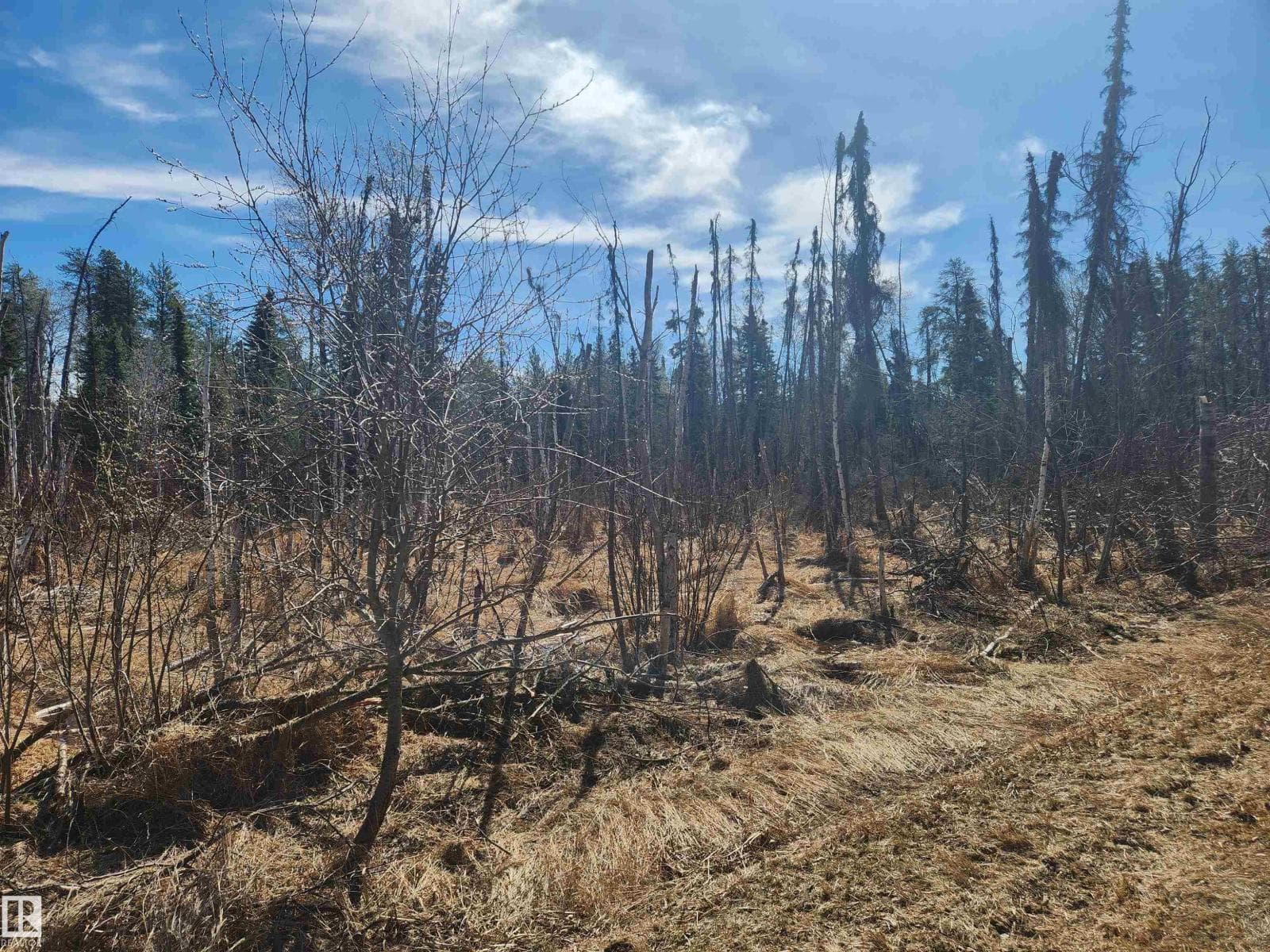 #Township Road 575 and Range Road 173 — photo 5