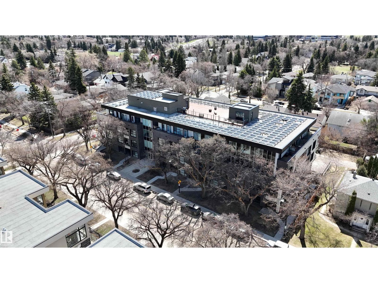 #310 11503 76 AV NW — photo 3
