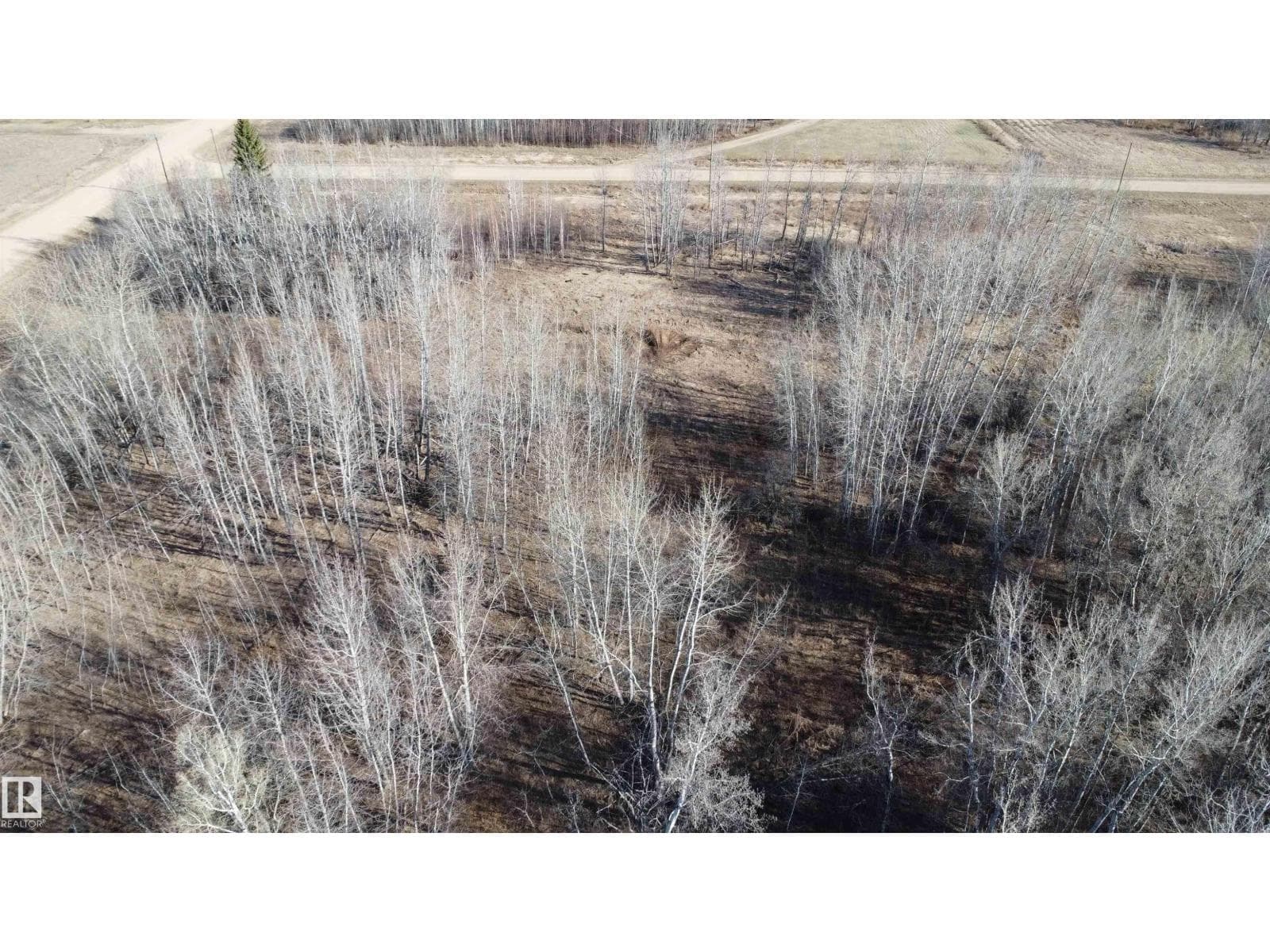 #6 59229 Rg Rd 265 — photo 3