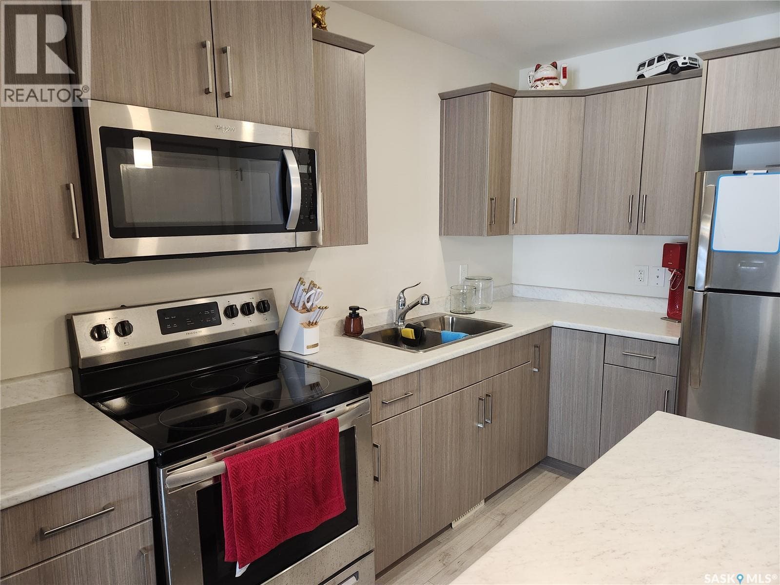 212 315 Dickson CRESCENT — photo 3