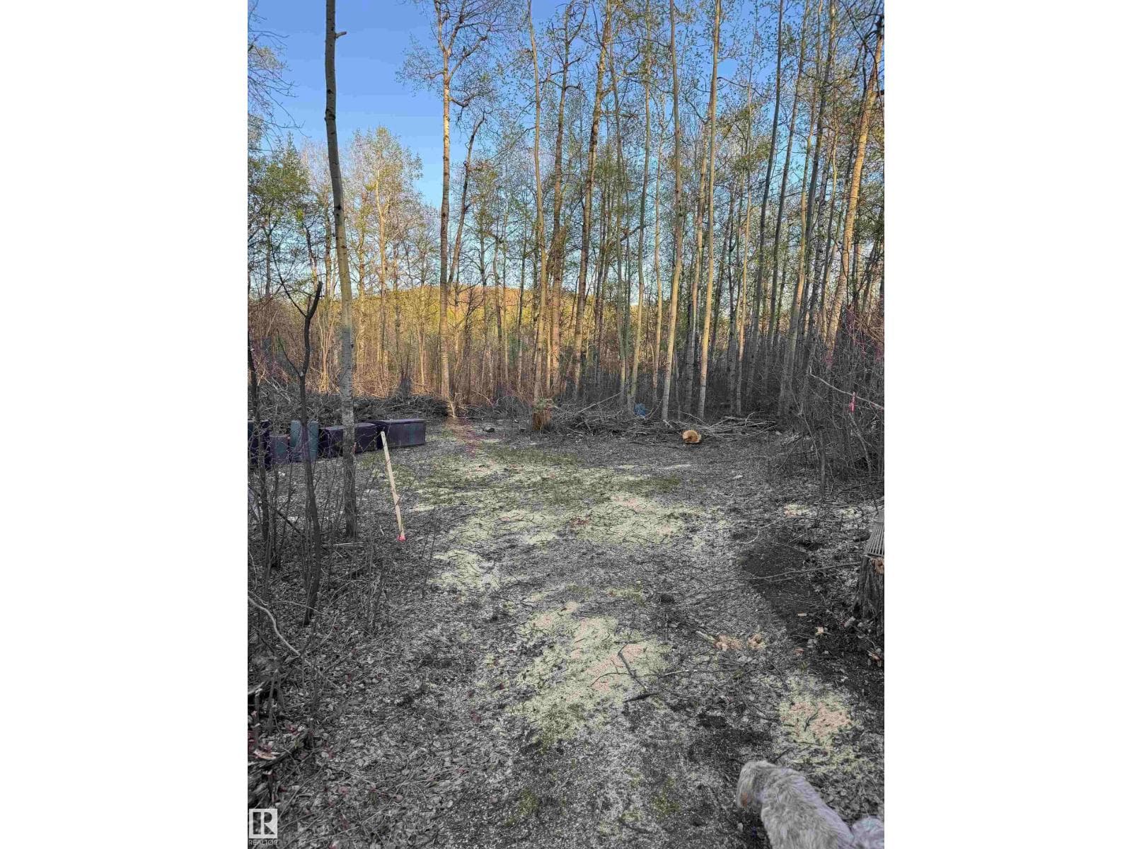 #30 1307 TWP ROAD 540 — photo 4