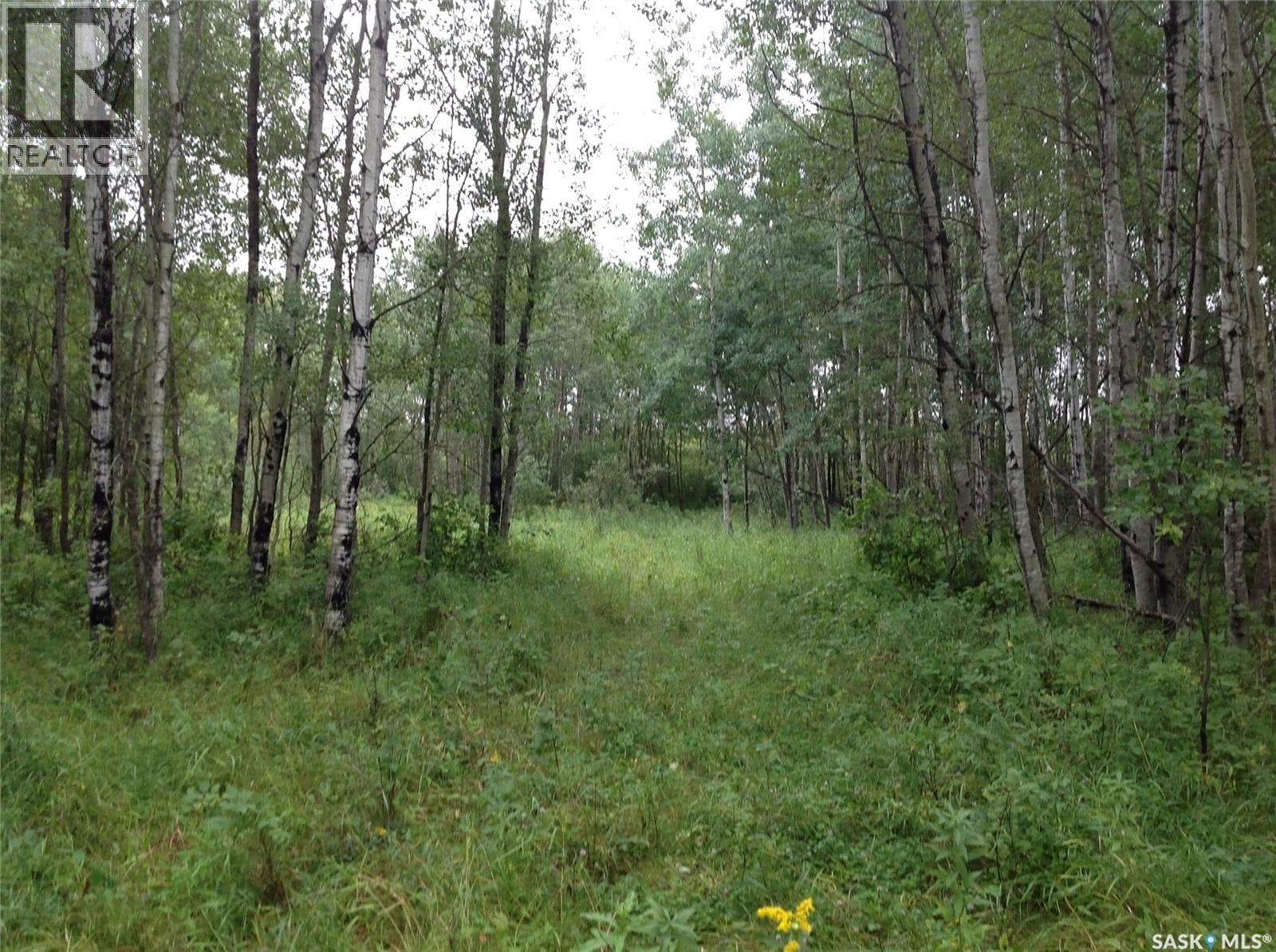 88 acres land — photo 5