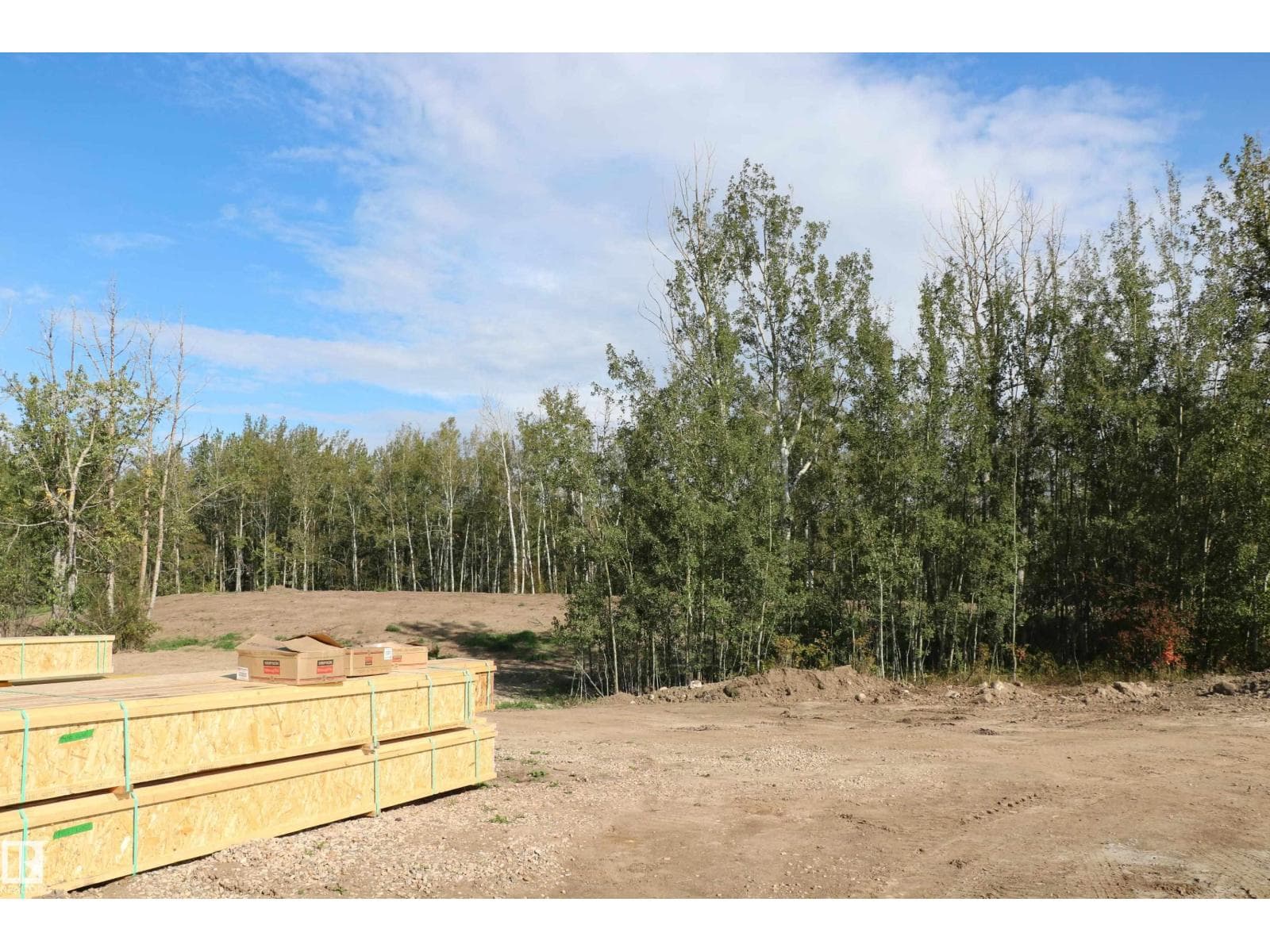 617 55101 Ste Anne TR — photo 4