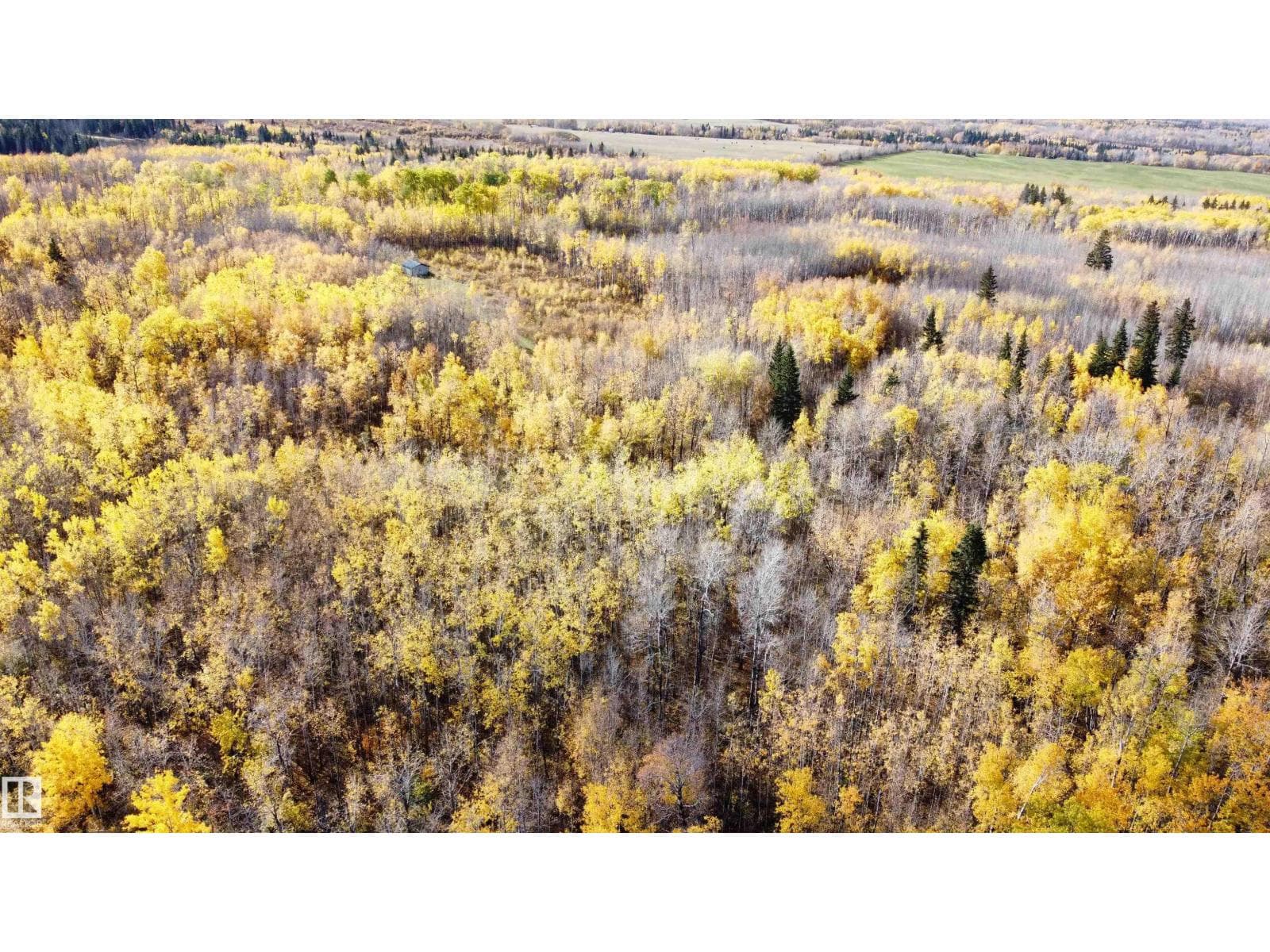Range Rd 113 Lakeland County — photo 5