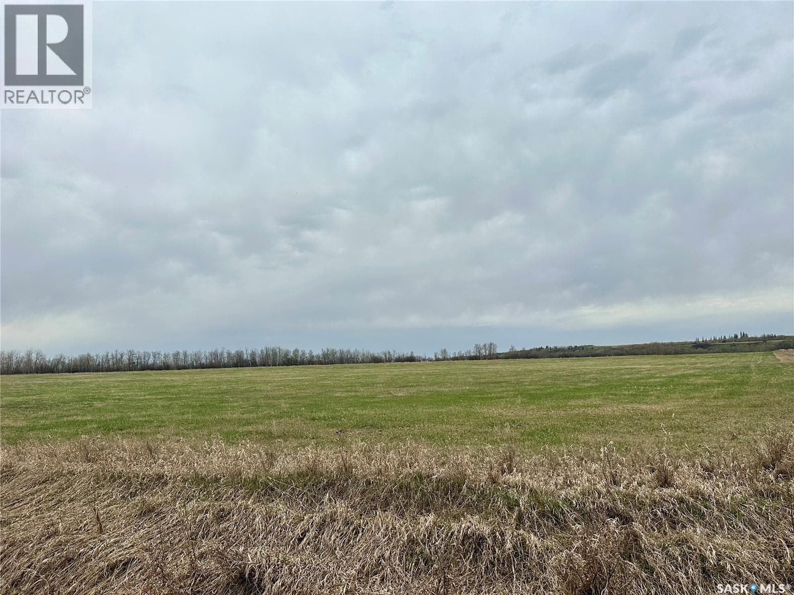 Jackfish Lakefront 40+ Acres — photo 3