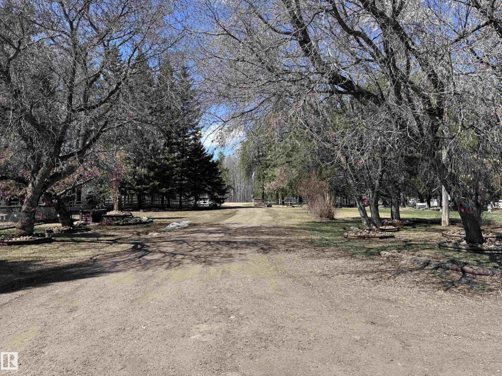 59415A Rg Rd 240 — photo 4