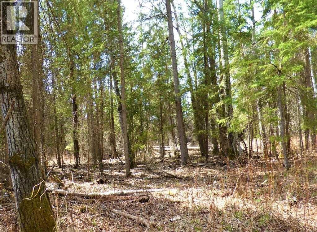 13519 TWP 662 — photo 4