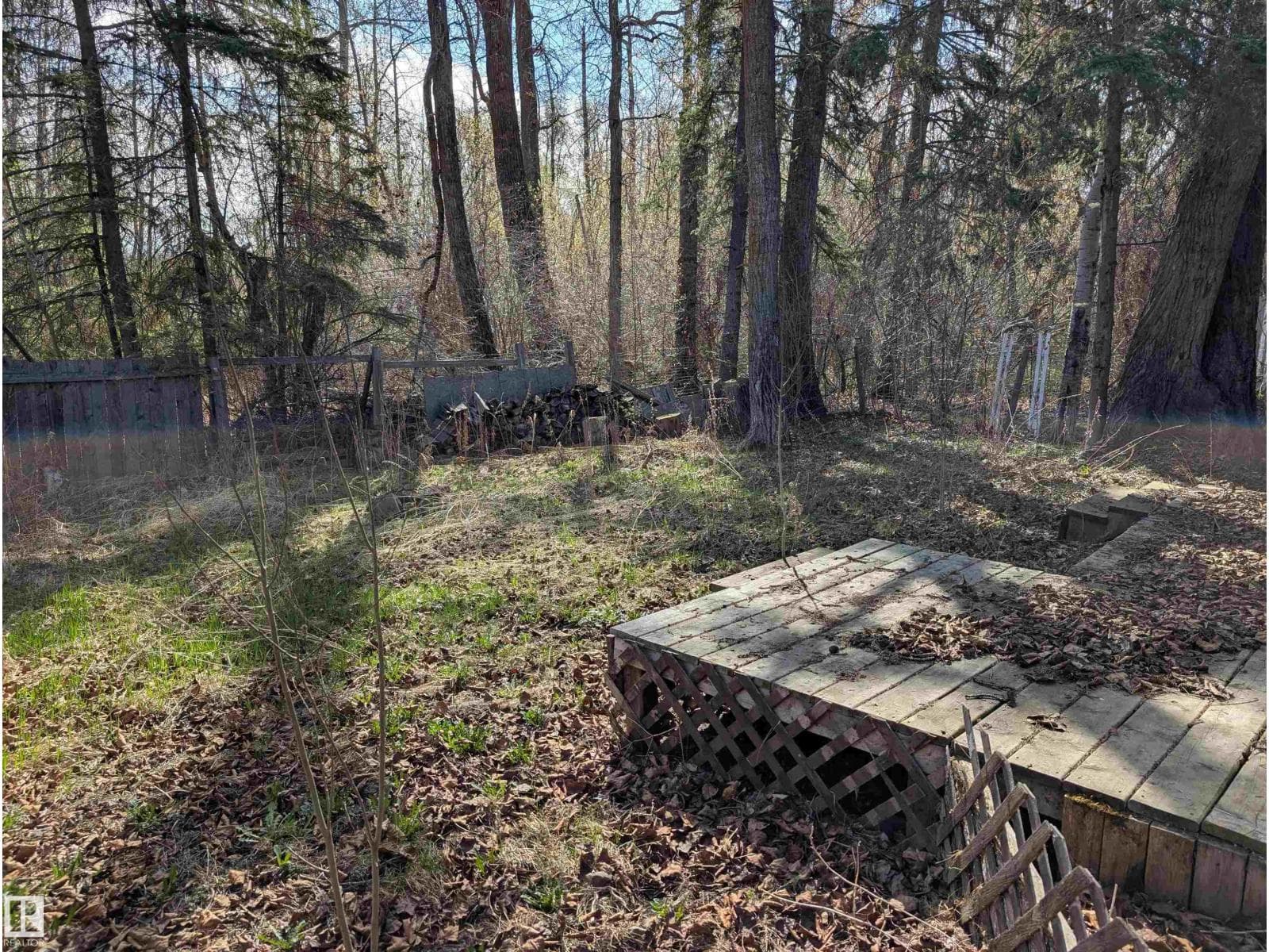 261 RNG ROAD 20 — photo 4