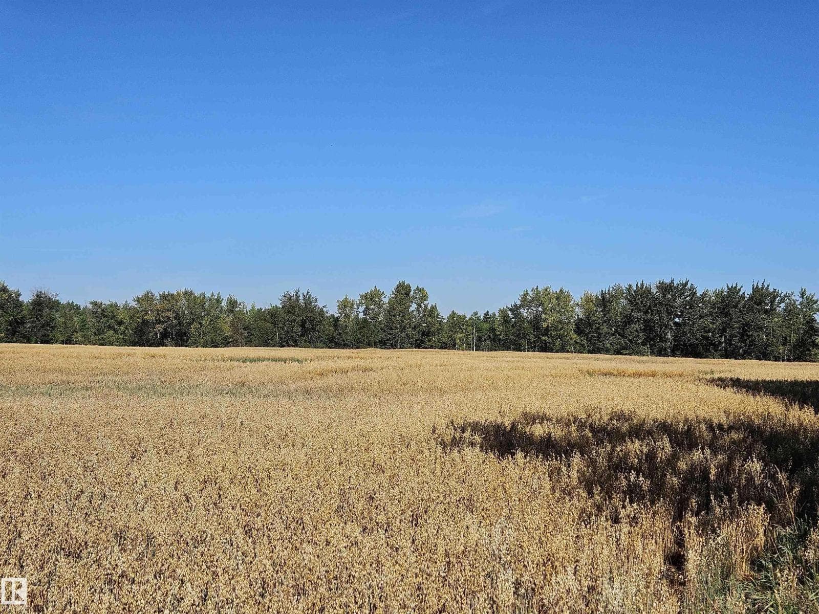 RR 174 Township 580 — photo 2