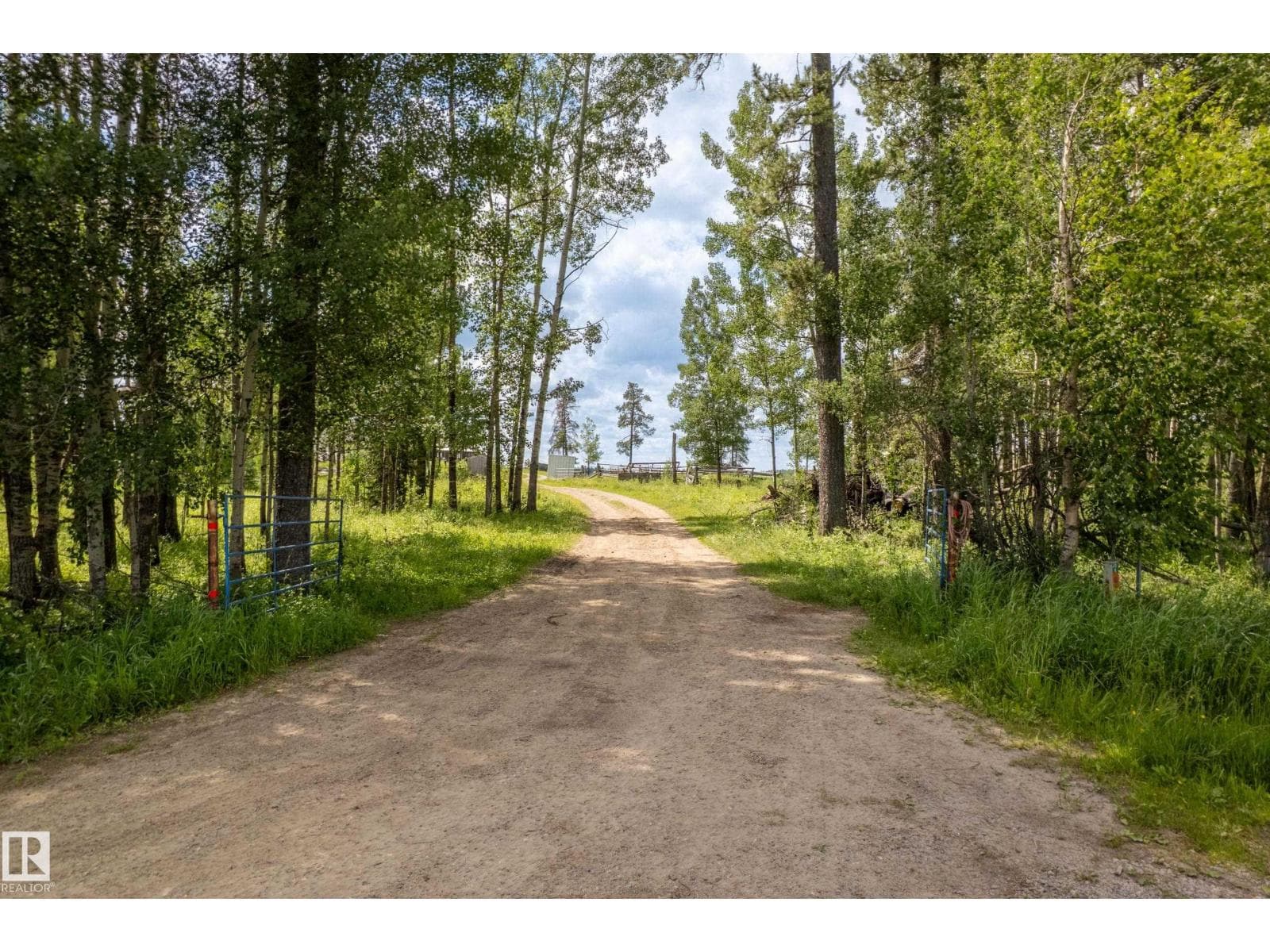 11517 TWP RD 541A — photo 3