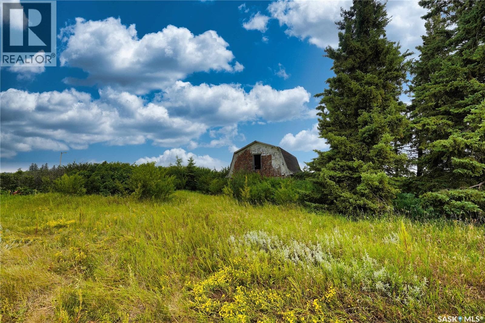 NW-PT-06-53-21-W3 — photo 4