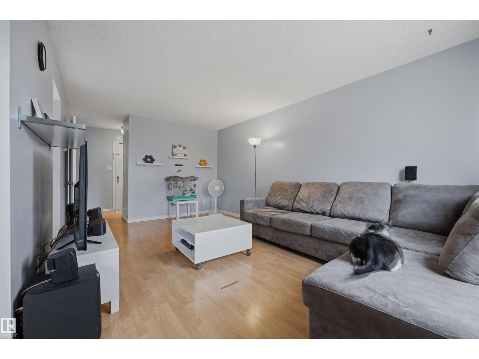 #3 18315 89 AV NW — photo 5