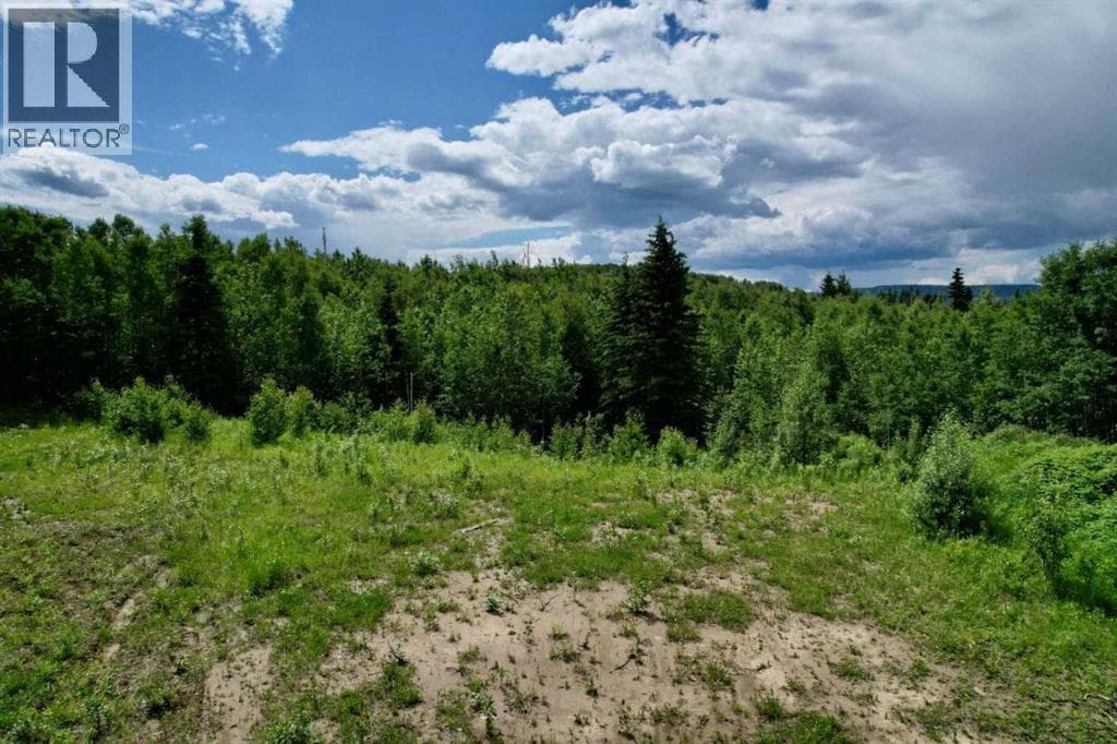 Lot 19 Mountain Springs