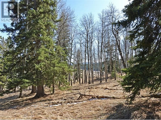 15 Kicking Horse Way — photo 4