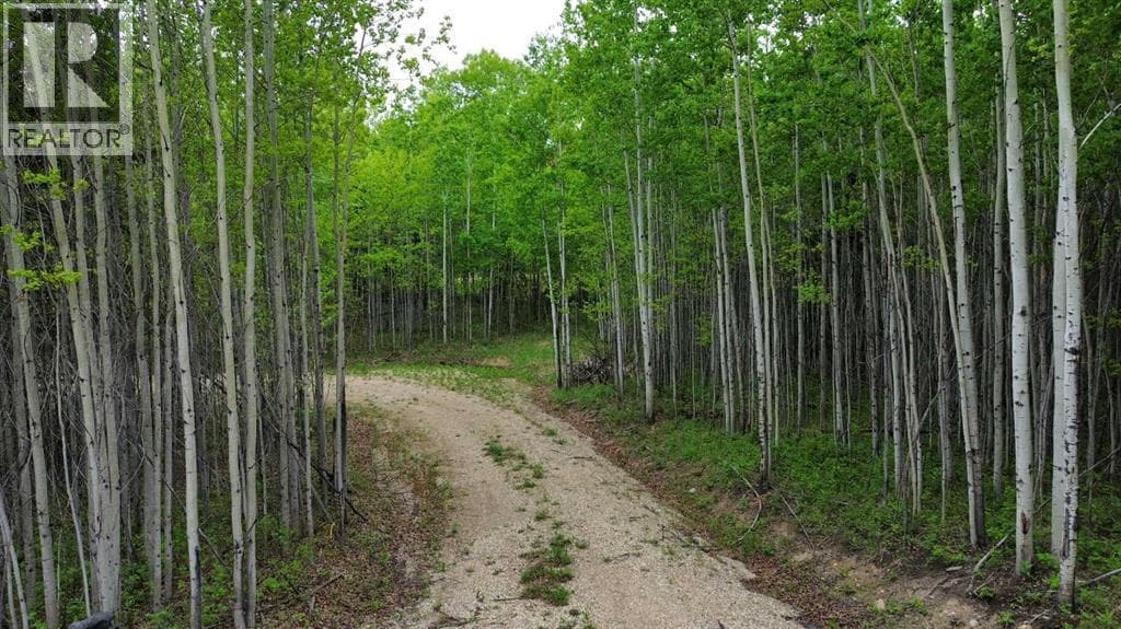 On Range Road 64 PT NW-28-74-6-W6 Range — photo 5