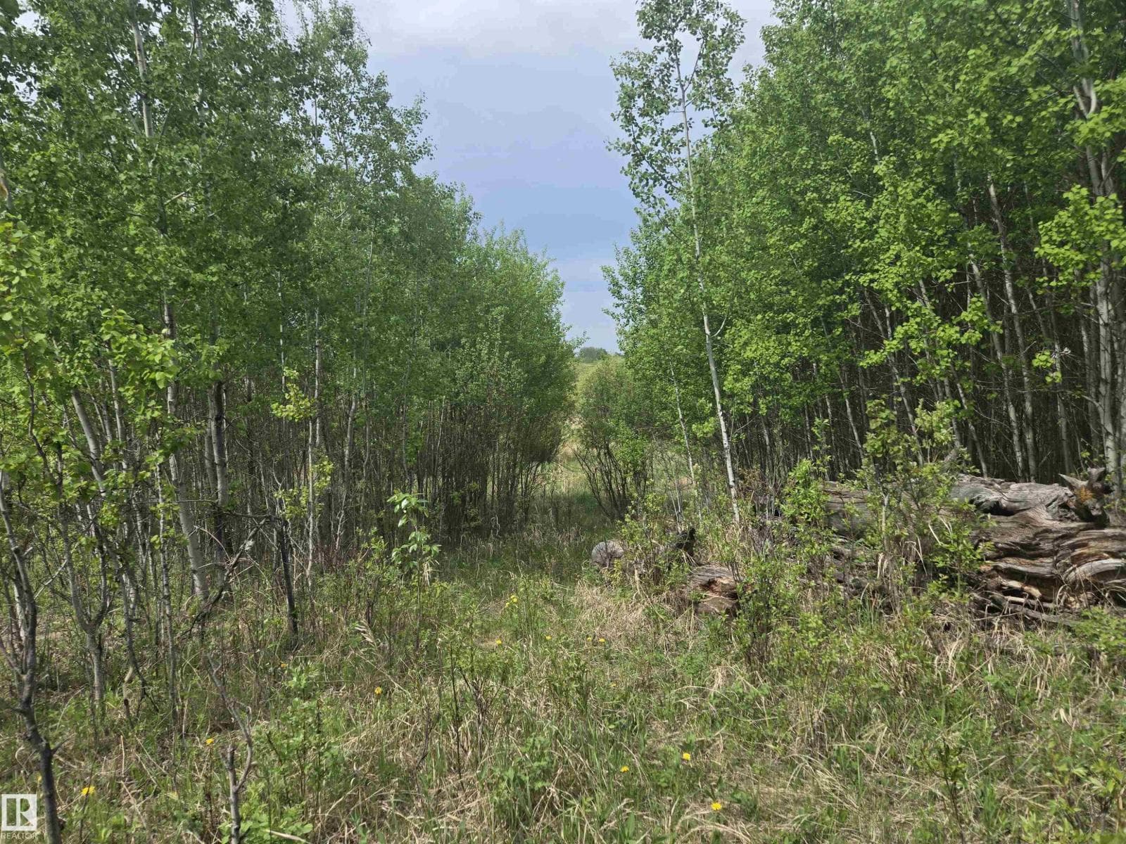Twp Rd 540 & Range Rd 35 — photo 3