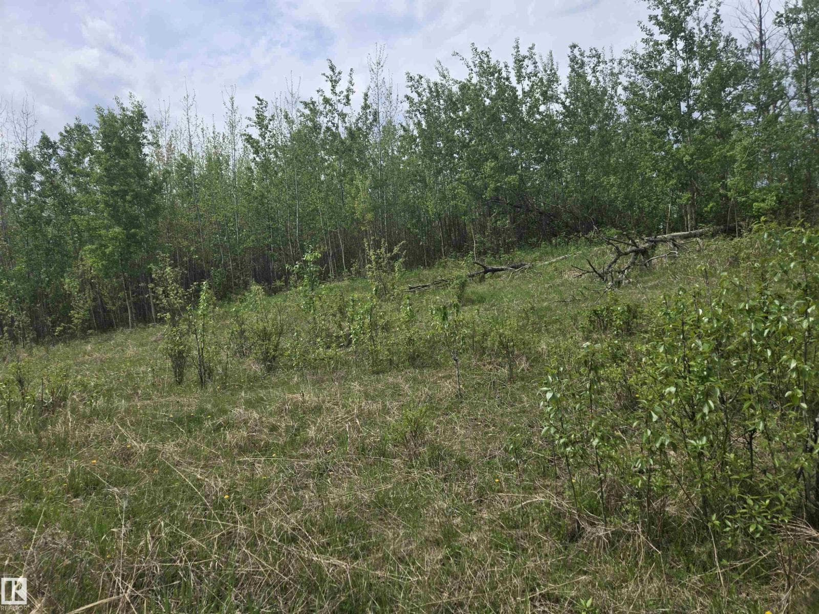 Twp Rd 540 & Range Rd 35 — photo 4
