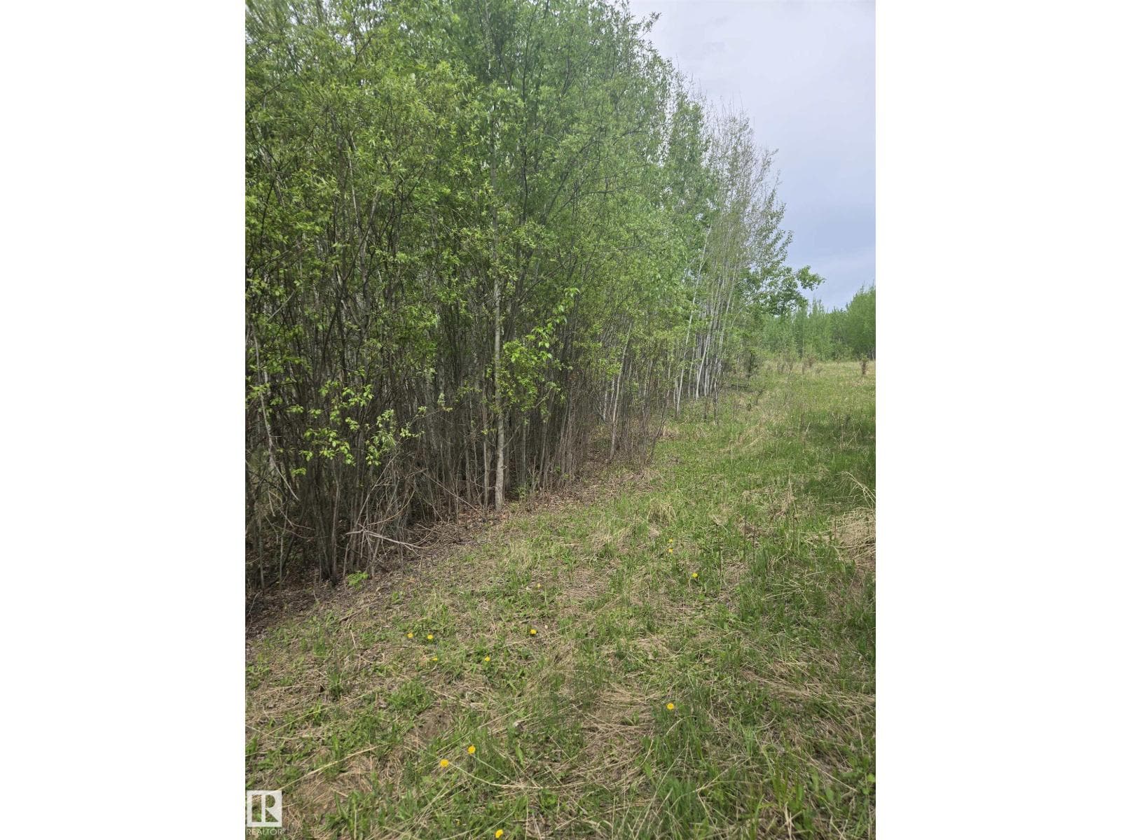 Twp Rd 540 & Range Rd 35 — photo 5