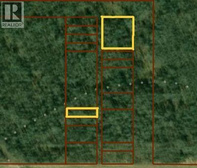 12 Foot Davis Road — photo 4