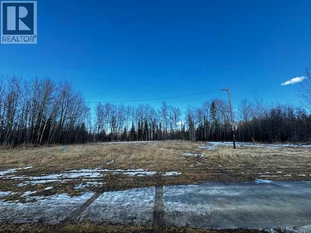 2431 Mistassiniy Road — photo 4