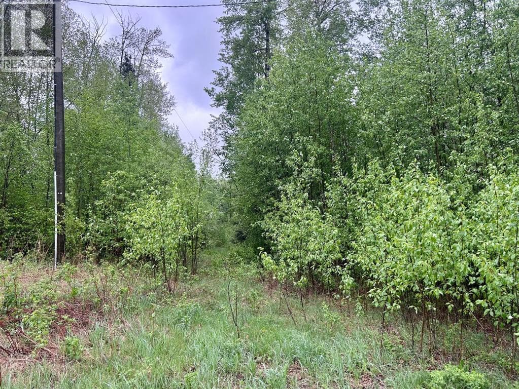 122, 67458 McGrane Rd