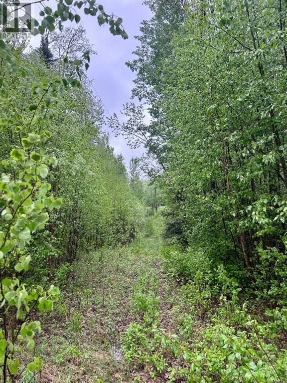 122, 67458 McGrane Rd — photo 3