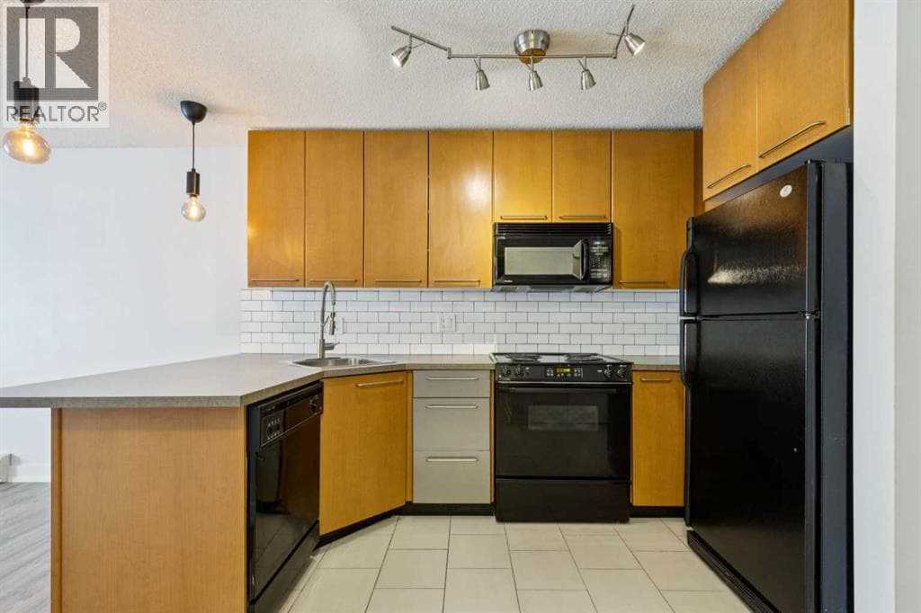 205, 35 Richard Court SW — photo 4
