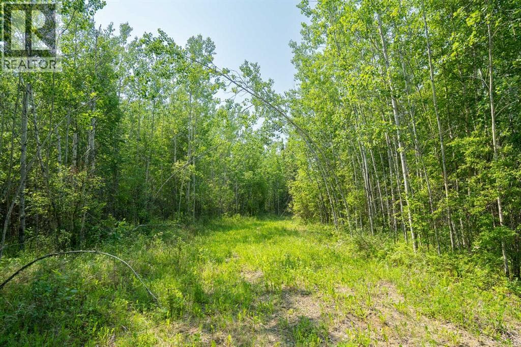 Lot 16 Estates of East Mountain — photo 4
