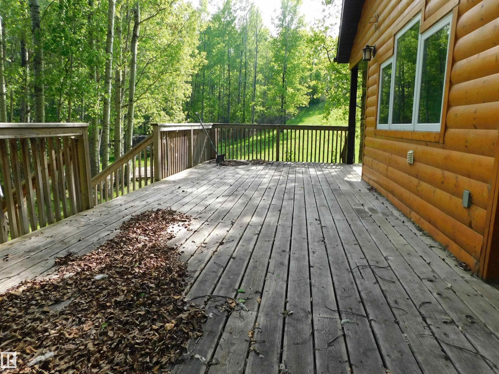 52123 RGE ROAD 25 — photo 4