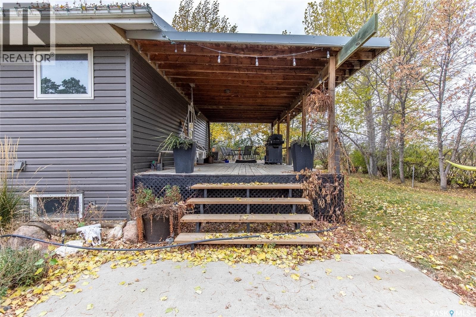 McDermit Acreage - Mortlach — photo 4