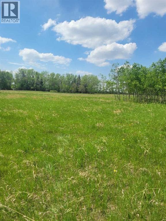 24166 Old Banff Coach Road — photo 5