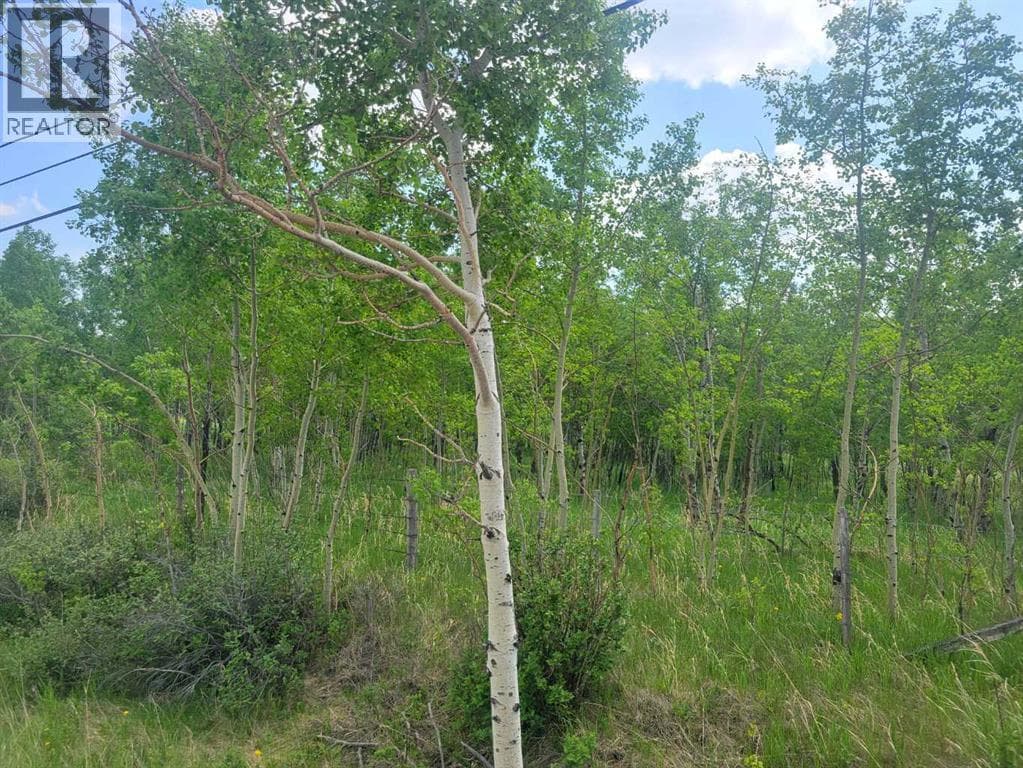 24166 Old Banff Coach Road — photo 4