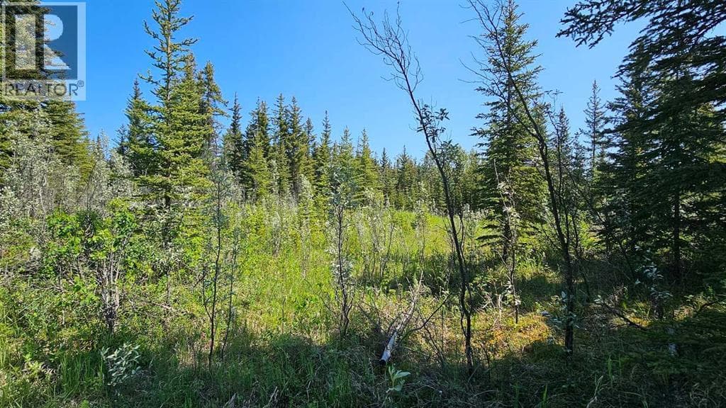 4, 34364 Range Road 42 — photo 2