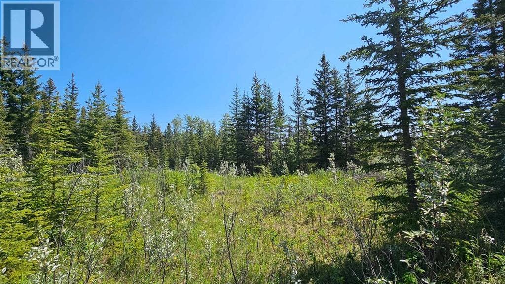 4, 34364 Range Road 42 — photo 4