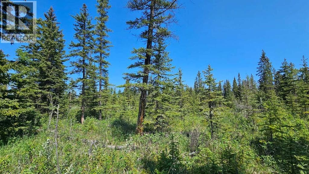 12, 34364 Range Road 42 — photo 2