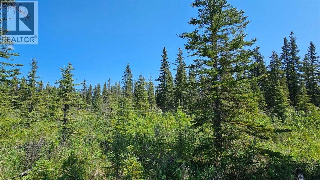 12, 34364 Range Road 42 — photo 3