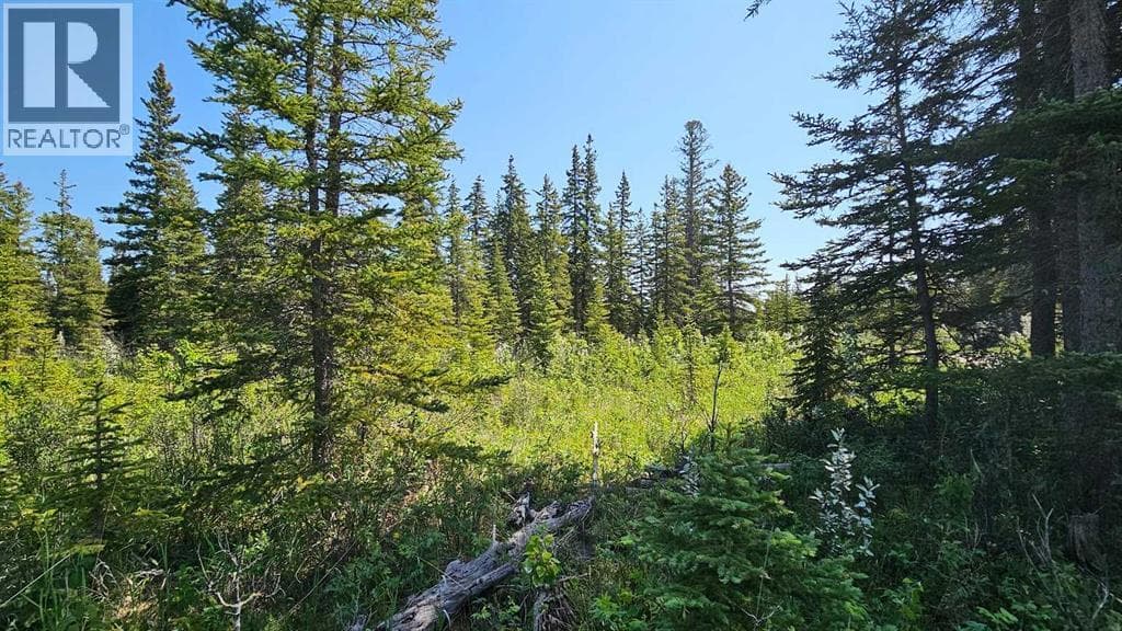 12, 34364 Range Road 42 — photo 4