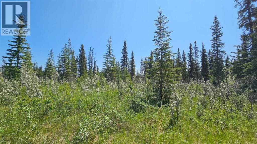 19, 34364 Range Road 42 — photo 4
