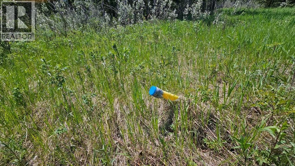 19, 34364 Range Road 42 — photo 2