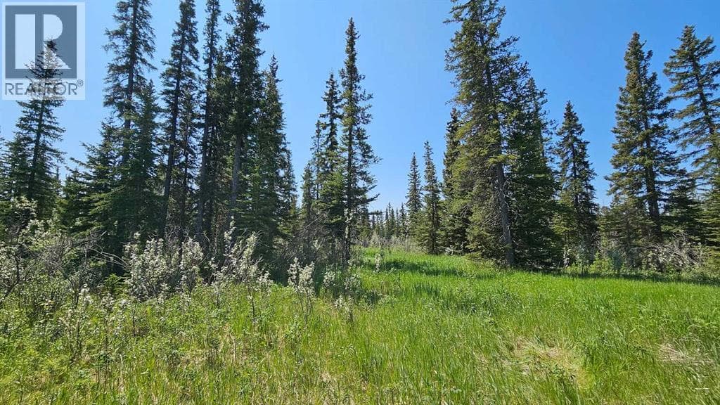 19, 34364 Range Road 42 — photo 3
