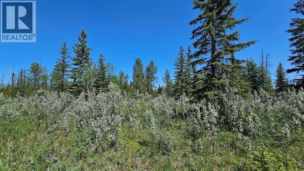 20, 34364 Range Road 42 — photo 3