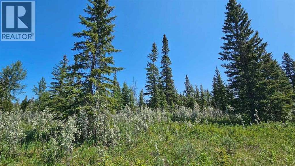 20, 34364 Range Road 42 — photo 4