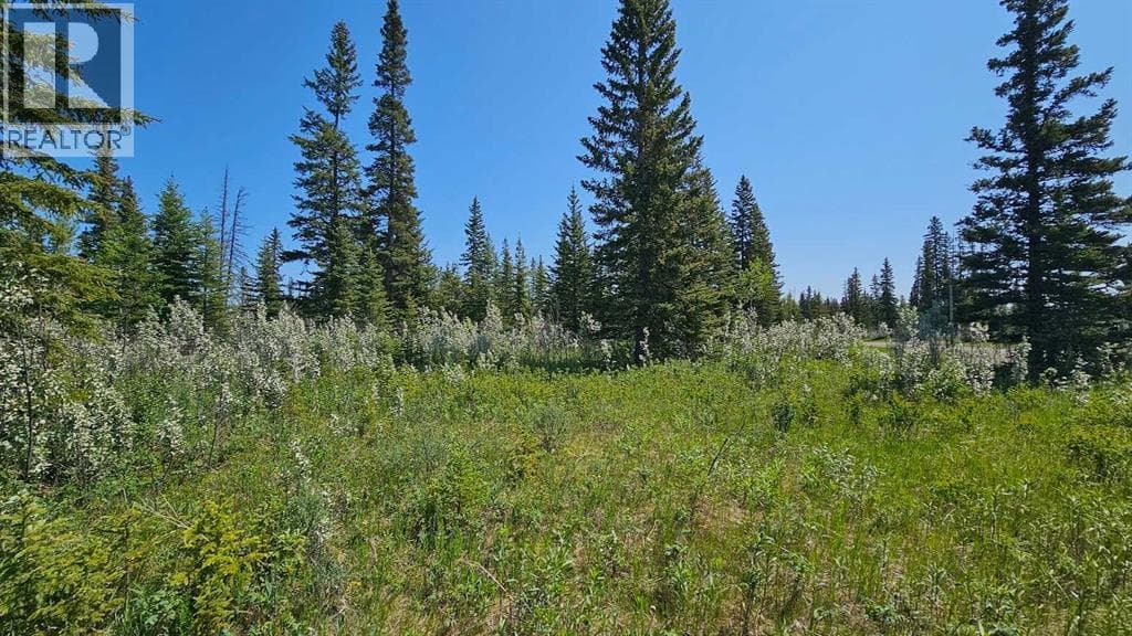 20, 34364 Range Road 42 — photo 5