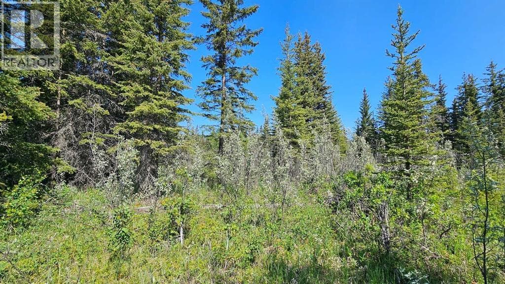 11, 34364 Range Road 42 — photo 2
