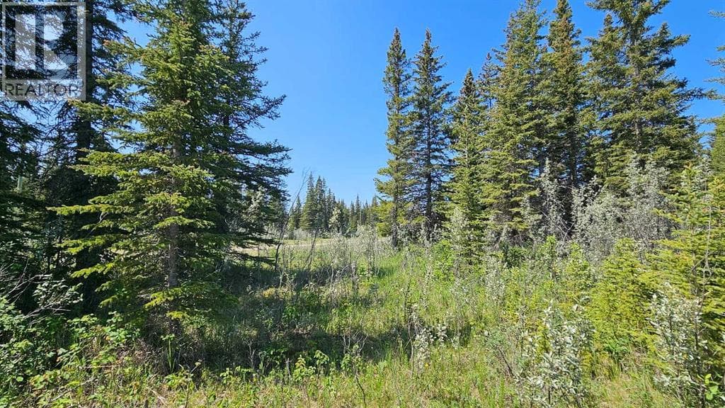 11, 34364 Range Road 42 — photo 4