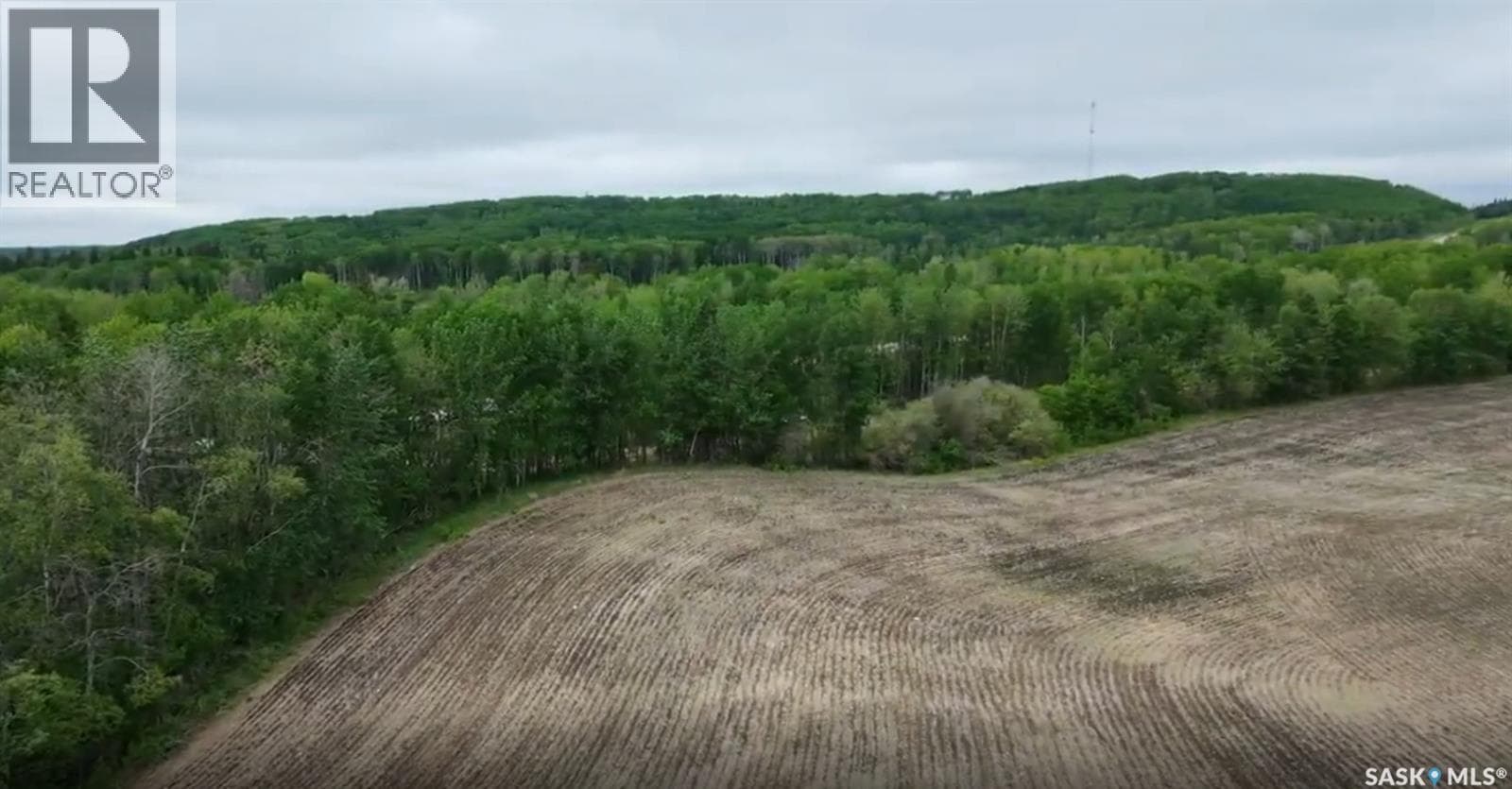 9.97 Acres Near Greenwater Prov Park — photo 4