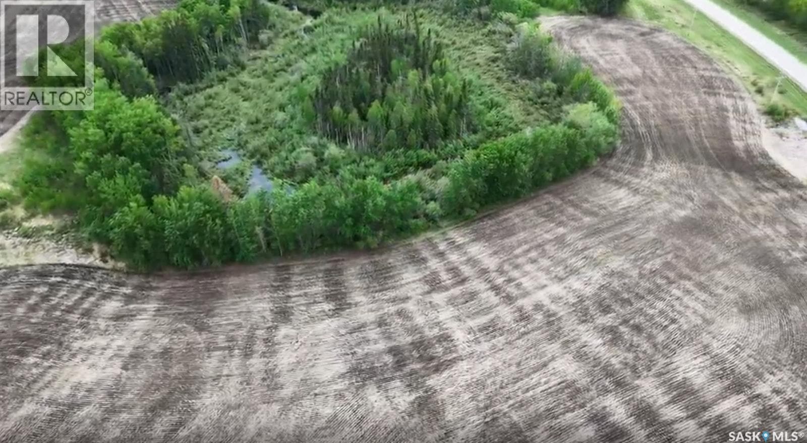 9.97 Acres Near Greenwater Prov Park — photo 5