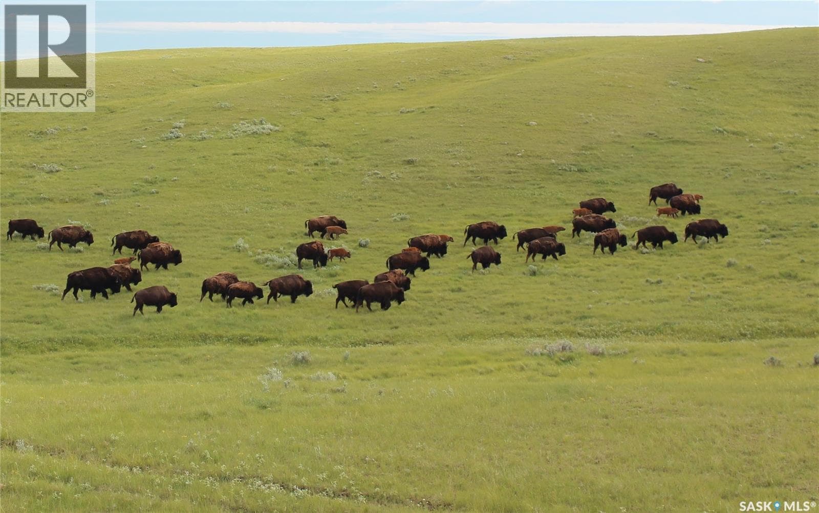 925 Acres Pasture Near Admiral